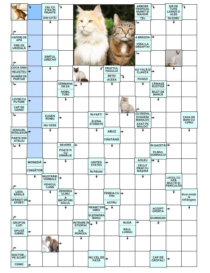 Integrame de dimensiuni mari
